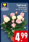 EDEKA Ruppichteroth - Topfrosen Angebot im Prospekt Topfrosen bei EDEKA im Ruppichteroth Prospekt für 4,99 €