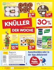 Wurst im Netto Marken-Discount Prospekt in Neumünster Aktueller Netto Marken-Discount Prospekt mit Wurst, "Aktuelle Angebote", Seite 2
