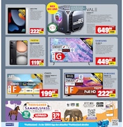 Aktueller Marktkauf Prospekt mit Camping, "Aktuelle Angebote", Seite 41