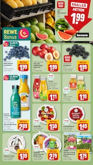 Saft im aktuellen REWE Prospekt (Wolfsburg) Saft im REWE Prospekt "Dein Markt" mit 14 Seiten (Wolfsburg)