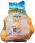 Pommes de terre de consommation Spécial Frites variété Caesar/Challenger/Jelly/Noblesse/Amaez dans le catalogue Colruyt