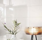 Wandfliese Polaris Angebote bei Globus-Baumarkt Gelsenkirchen für 9,79 €