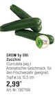 Zucchini Angebote von GROW by OBI bei OBI Wiesbaden für 2,99 €