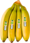 Bananen WWF im Angebot bei Marktkauf in Pinneberg Bananen WWF Angebote von EDEKA Bio bei Marktkauf Pinneberg für 1,49 €