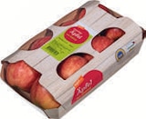 Aktuelles Äpfel Angebot bei tegut in Würzburg ab 1,99 €
