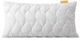 Aloe Vera-Kissen ca. 40 x 80 cm im Angebot bei Lidl in Altenburg Aloe Vera-Kissen ca. 40 x 80 cm Angebote von Emma bei Lidl Altenburg für 9,99 €