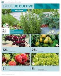 Offre Fraisier dans le catalogue Carrefour du moment à la page 10