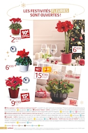 Prix et réduction Cyclamen dans le prospectus Jardiland en cours Offre Cyclamen dans le catalogue Jardiland du moment à la page 2