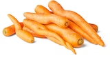 Penny Offingen Prospekt mit  im Angebot für 1,29 €
