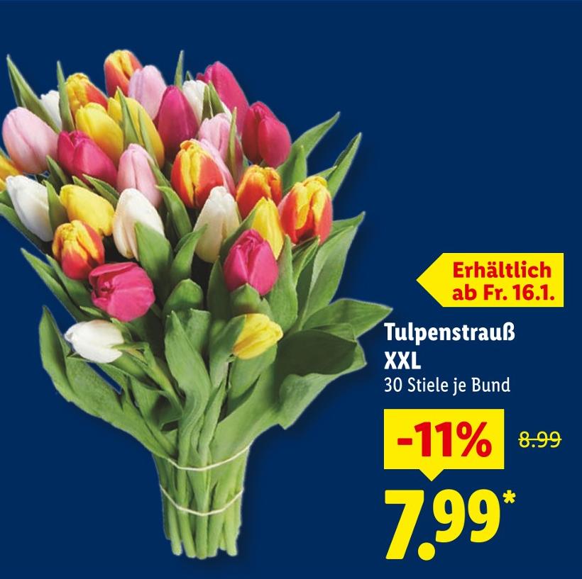Tulpenstrauß XXL