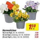 Aktuelle Blumen Angebote bei toom Baumarkt in Mannheim Aktuelles Hornveilchen Angebot bei toom Baumarkt in Mannheim ab 1,59 €