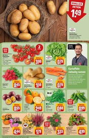 Ähnliche Zugluftstopper Angebote im Prospekt "Dein Markt" von REWE in Mönchengladbach Ähnliche Angebote wie Zugluftstopper im Prospekt "Dein Markt" auf Seite 9 von REWE in Mönchengladbach