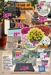 Teppichboden im Hornbach Prospekt in Lörrach Aktueller Hornbach Prospekt mit Teppichboden, "Dein Wille verlegt Deine Terrasse.", Seite 7