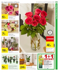 Prix et réduction Terreau dans le prospectus Carrefour en cours Offre Terreau dans le catalogue Carrefour du moment à la page 35