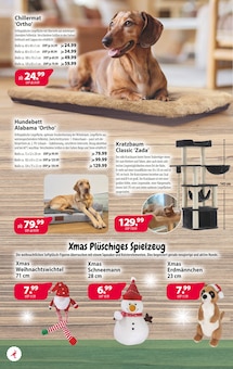 Kiebitzmarkt Raesfeld Prospekt der aktuellen Woche, gültig von 05.12.2025 bis 14.12.2025 Aktueller Kiebitzmarkt Raesfeld Prospekt "Tolle Geschenk-Ideen!" mit 12 Seiten