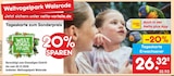 Tageskarte Erwachsener im aktuellen Netto Marken-Discount Prospekt