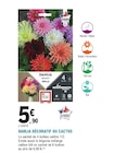 Promo Dahlia décoratif ou cactus à 5,90 € dans le catalogue E.Leclerc à Marennes