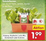 Salatpflanzen im Angebot bei Netto Marken-Discount in Solingen Salatpflanzen Angebote bei Netto Marken-Discount Solingen für 1,99 €