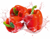 Aktuelle Paprika Angebote bei Netto Marken-Discount in Krefeld Aktuelles Paprika rot Angebot bei Netto Marken-Discount in Krefeld ab 1,49 €