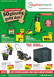 Stiefmütterchen Angebot im aktuellen Hagebaumarkt Prospekt auf Seite 1