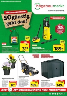 Pflanzen Angebot im aktuellen Hagebaumarkt Prospekt auf Seite 1