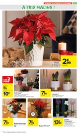 Plantes Angebote im Prospekt "JOYEUX NOËL & MEILLEURS PRIX" von Carrefour Market auf Seite 59