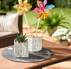 Rund um Balkon und Garten Angebote bei REWE Heinsberg für 2,00 €