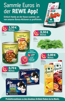 Aktueller REWE Prospekt "Dein Markt" Aktueller REWE Prospekt