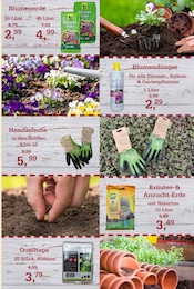 Aktueller Garten-Center Nordharz GmbH & Co. KG Prospekt mit Handschuhe, "Farben Düfte Frühlingsfreude", Seite 13