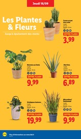 Jardinage Angebote im Prospekt "Le vrai prix des bonnes choses" von Lidl auf Seite 30