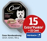 klassik-terrine bei E center im Herrenberg Prospekt für 