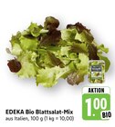 EDEKA Lambrecht - Blattsalat-Mix Angebot im Prospekt Blattsalat-Mix bei EDEKA im Lambrecht Prospekt für 1,00 €