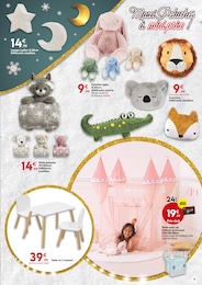 Offre Tente dans le catalogue Maxi Bazar du moment à la page 9