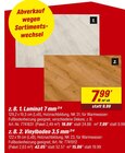 toom Baumarkt Marienberg - Laminate 7 mm oder Vinylboden 3,5 mm Angebot im Prospekt Laminate 7 mm oder Vinylboden 3,5 mm bei toom Baumarkt im Marienberg Prospekt für 7,99 €