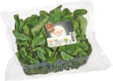 Aktuelle Salat Angebote bei tegut in Stuttgart Aktuelles tegut... Bio-Feldsalat Angebot bei tegut in Stuttgart ab 1,99 €
