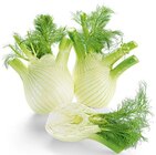 Bio Fenchel bei nahkauf im Schleiden Prospekt für 2,49 €