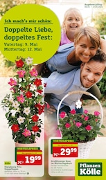 Der aktuelle Pflanzen Kölle Prospekt Doppelte Liebe, doppeltes Fest!