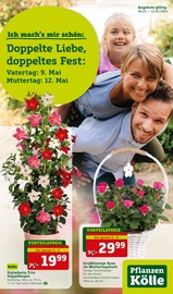 Aktueller Pflanzen Kölle Garten & Pflanzen Prospekt in Talheim und Umgebung, "Doppelte Liebe, doppeltes Fest!" mit 16 Seiten, 06.05.2024 - 12.05.2024
