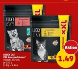 Aktuelles XXL Knusperkissen Angebot bei Penny in Düsseldorf ab 1,49 €