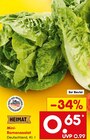 Mini-Romanasalat im Angebot bei Netto Marken-Discount in Konstanz Mini-Romanasalat Angebote von HEIMAT bei Netto Marken-Discount Konstanz für 0,65 €
