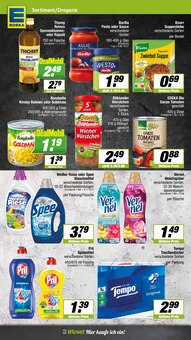 Taschentücher im EDEKA Prospekt "Aktuelle Angebote" mit 15 Seiten (Münster)