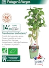 Framboisier bio - botanic en promo chez Botanic Framboisier bio - botanic dans le catalogue Botanic