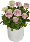 E center Oberteuringen - Herzstück Rosenstrauß Angebot im Prospekt Herzstück Rosenstrauß bei E center im Oberteuringen Prospekt für 4,99 €