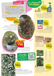 Laurier Rose Angebote im Prospekt "les Compagnons des saisons" von Les Compagnons des saisons Laurier Rose Angebote im Prospekt "les Compagnons des saisons" von Les Compagnons des saisons auf Seite 3