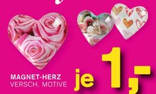 Magnet-Herz