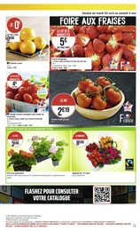 Offre Fleurs d'extérieur dans le catalogue Casino Supermarchés du moment à la page 11