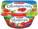 Aktuelles Obstgarten Erdbeere Angebot bei Penny in Mainz ab 0,49 €