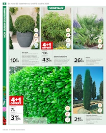 Offre Palmier dans le catalogue Carrefour du moment à la page 8