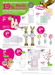 mömax Pflanztopf im Prospekt 