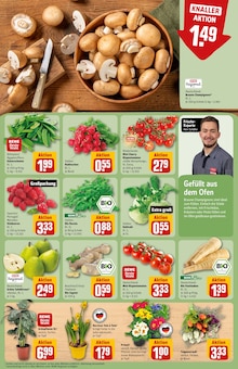 Blumen im aktuellen REWE Prospekt (Heidelberg) Blumen im REWE Prospekt "Dein Markt" mit 30 Seiten (Heidelberg)